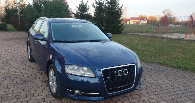 Audi A3 cena 31999 przebieg: 260569, rok produkcji 2010 z Piotrków Kujawski małe 781